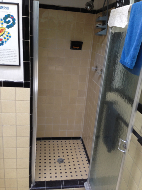Master Shower Before